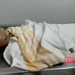 Farmer discovered dead body of woman