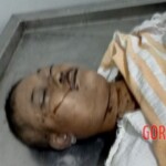 Farmer discovered dead body of woman