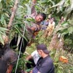 Hanged man found decomposing on rubber plantation