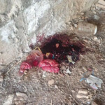 Hundreds of Alwite civilians were executed in Baniyas