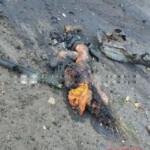 Dead Ukrainian soldier