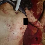 Maria Victória Rodrigues dos Santos