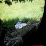 Joana Maria Ortiz Mangilit