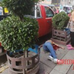 Several gangsters executed en masse in Mexico City