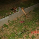 Teen girl found with her throat deeply cut