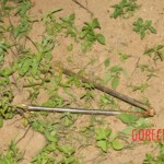 Teen girl found with her throat deeply cut