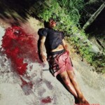 Teenager and woman shot dead by armed group