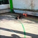 Two criminals lynched and burned to death