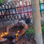 Two criminals lynched and burned to death