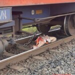 Vietnamese man cut in half by train