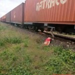 Vietnamese man cut in half by train