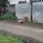 Mary Grace A. Pilaro