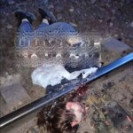 16-year-old girl decapitated by train