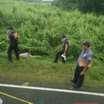 Crystaliz Buenavista