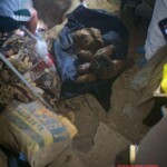 Mercedes Angelita Sánchez Querevalú