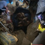 Mercedes Angelita Sánchez Querevalú