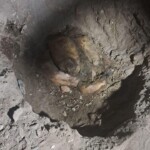 Mercedes Angelita Sánchez Querevalú