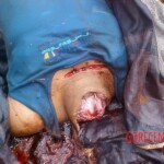 Asian woman found beheaded