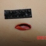 Autopsy of Chinese woman hacked with machete