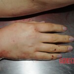 Autopsy of Chinese woman hacked with machete