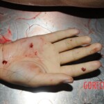 Autopsy of Chinese woman hacked with machete