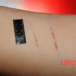 Autopsy of Chinese woman hacked with machete