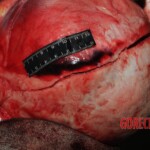 Autopsy of Chinese woman hacked with machete