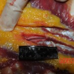 Autopsy of Chinese woman hacked with machete