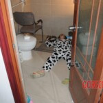 Chinese woman died after being electrocuted