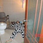 Chinese woman died after being electrocuted