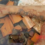 Drug dealer's daughter found decapitated