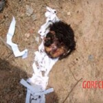 Drug dealer's daughter found decapitated