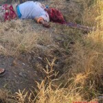 Elderly woman brutally murdered by her own son