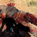 Fallen PKK fighters during the battle with ISIS