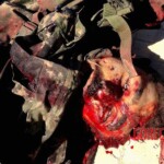 Fallen PKK fighters during the battle with ISIS