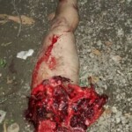 Horrific motorcycle accident claimed lives of couple