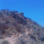 ISIS member killed during anti-terrorist operation in Puntland