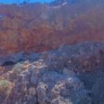 ISIS member killed during anti-terrorist operation in Puntland