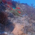 ISIS member killed during anti-terrorist operation in Puntland