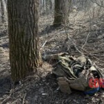 Fallen Ukrainian soldiers