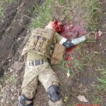 Fallen Ukrainian soldiers