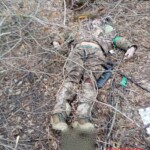 Fallen Ukrainian soldiers