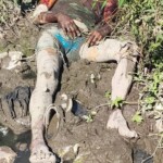 Man's headless body found in wooded area