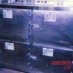 Schizophrenic rapist shared pictures of his dead daughter on internet