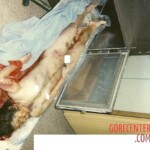 Schizophrenic rapist shared pictures of his dead daughter on internet