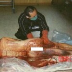 Schizophrenic rapist shared pictures of his dead daughter on internet