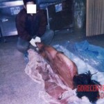 Schizophrenic rapist shared pictures of his dead daughter on internet