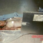 Schizophrenic rapist shared pictures of his dead daughter on internet