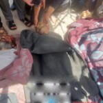 Syrian man documents dead bodies of his family members