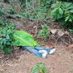 Teen girl found with her head partially severed